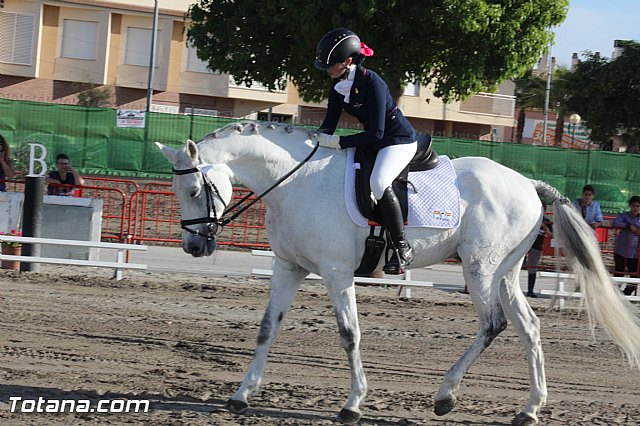 Feria Internacional del Caballo 2015 (Lorca) - 250