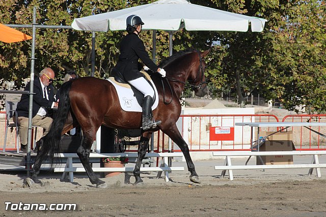 Feria Internacional del Caballo 2015 (Lorca) - 253