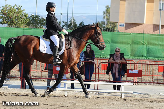 Feria Internacional del Caballo 2015 (Lorca) - 254