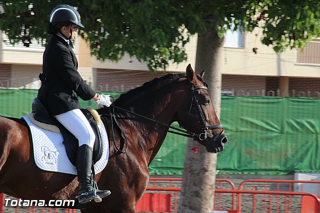 Feria Internacional del Caballo 2015 (Lorca) - 255