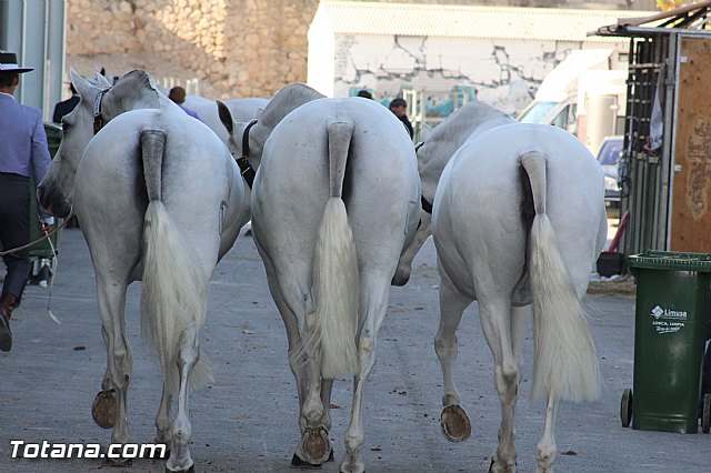 Feria Internacional del Caballo 2015 (Lorca) - 256