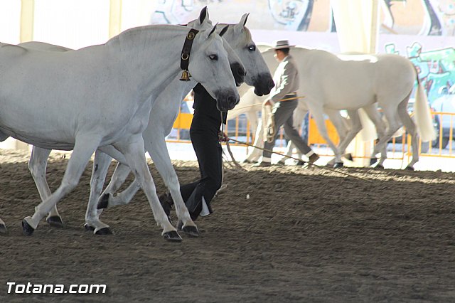 Feria Internacional del Caballo 2015 (Lorca) - 258