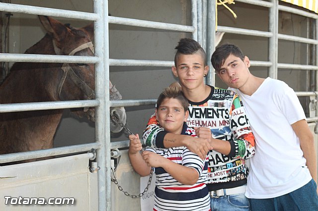 Feria Internacional del Caballo 2015 (Lorca) - 260