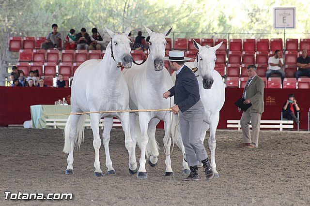 Feria Internacional del Caballo 2015 (Lorca) - 262