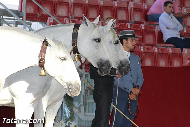 Feria Internacional del Caballo 2015 (Lorca) - 263