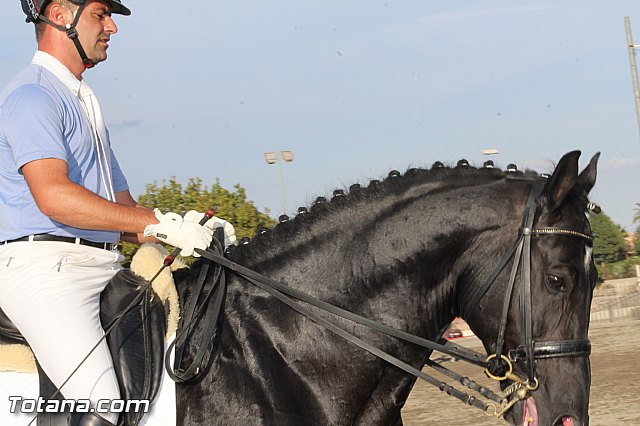 Feria Internacional del Caballo 2015 (Lorca) - 268