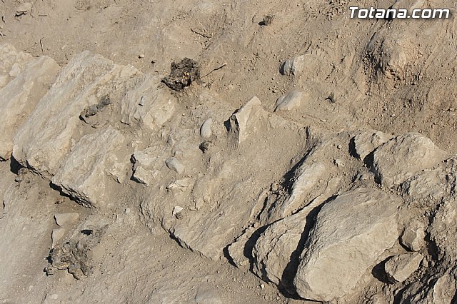 Excavacin Arqueolgica del Yacimiento de 