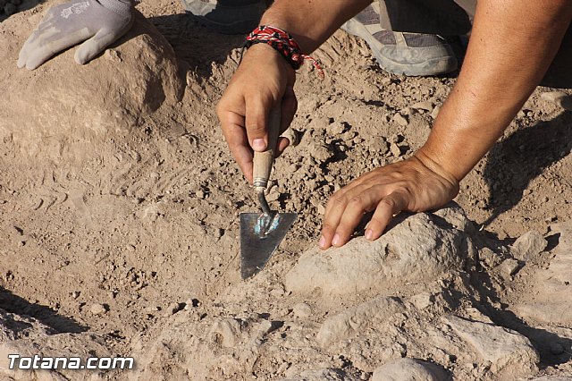 Excavacin Arqueolgica del Yacimiento de 