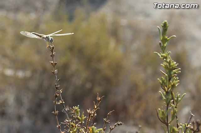 Excavacin Arqueolgica del Yacimiento de 