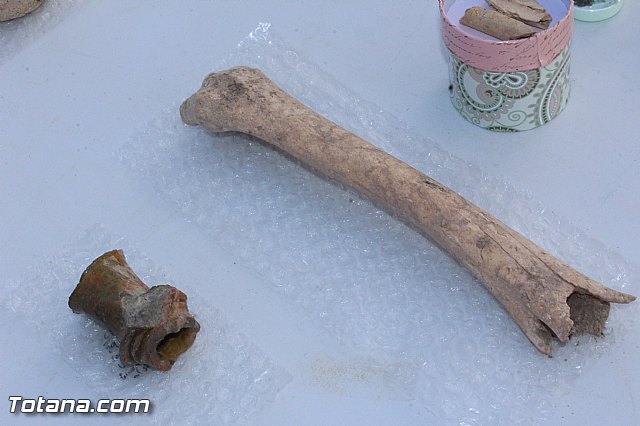 II Campo de Trabajo Arqueolgico en el Yacimiento de 