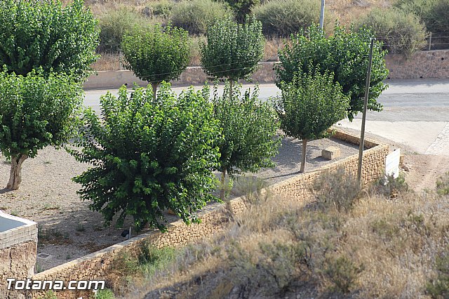 II Campo de Trabajo Arqueolgico en el Yacimiento de 