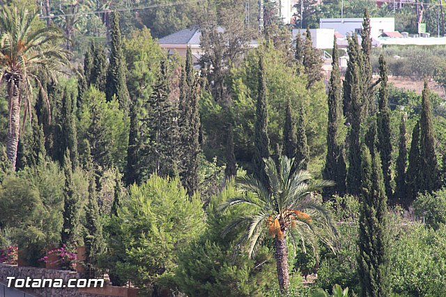 II Campo de Trabajo Arqueolgico en el Yacimiento de 