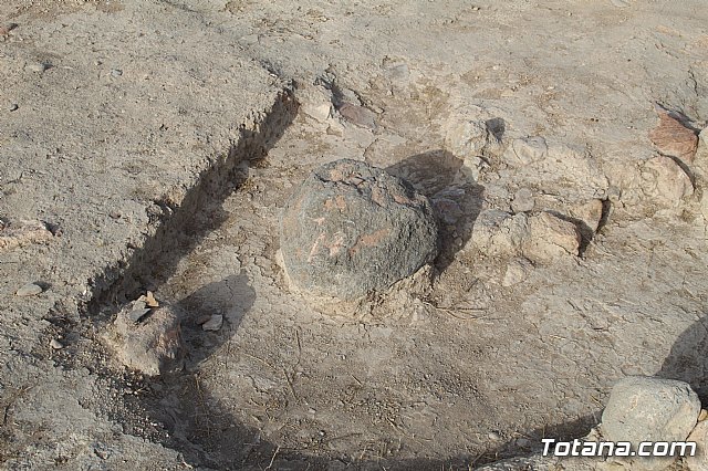 Visita al Campo de Trabajo de Las Cabezuelas 2019 - 55