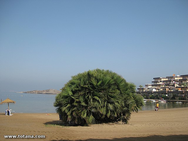 Cala del Pino. La Manga del Mar Menor. 2013 - 11