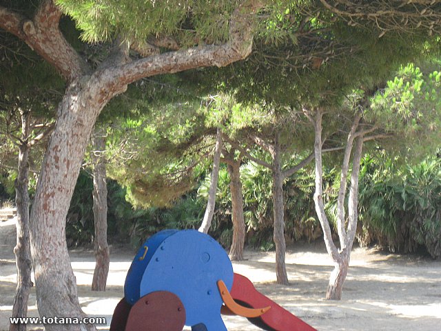 Cala del Pino. La Manga del Mar Menor. 2013 - 15