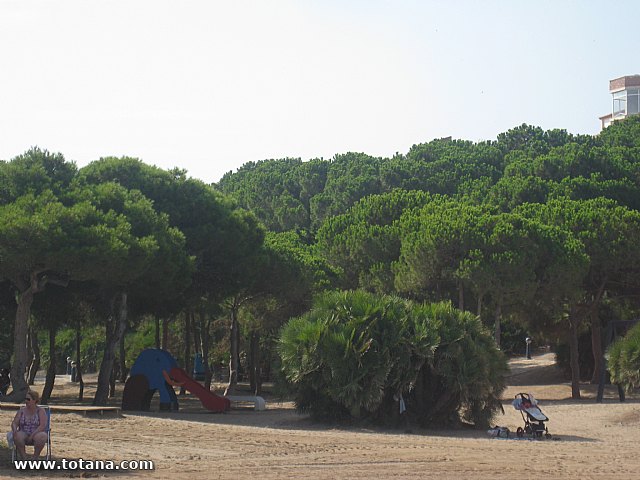 Cala del Pino. La Manga del Mar Menor. 2013 - 33