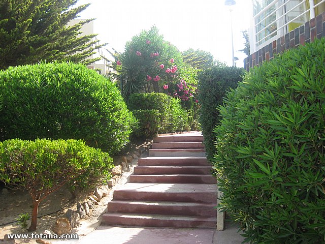 Cala del Pino. La Manga del Mar Menor. 2013 - 49