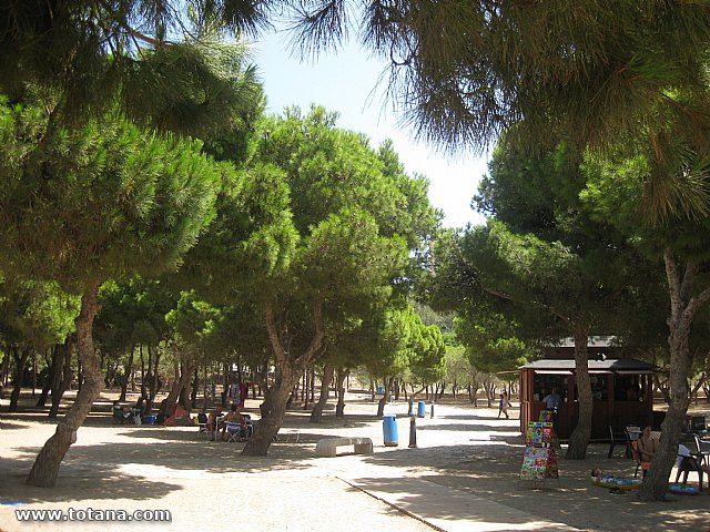 Cala del Pino. La Manga del Mar Menor. 2013 - 69