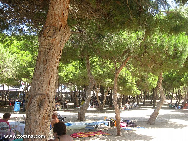 Cala del Pino. La Manga del Mar Menor. 2013 - 70