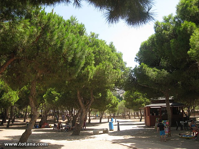 Cala del Pino. La Manga del Mar Menor. 2013 - 72