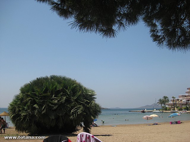 Cala del Pino. La Manga del Mar Menor. 2013 - 76