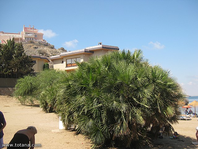 Cala del Pino. La Manga del Mar Menor. Julio y Agosto 2014 - 19