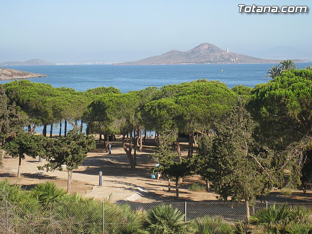 Cala del Pino. La Manga del Mar Menor. Julio y Agosto 2014 - 61