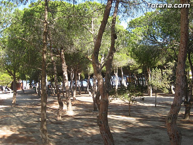 Cala del Pino. La Manga del Mar Menor. Julio y Agosto 2014 - 63