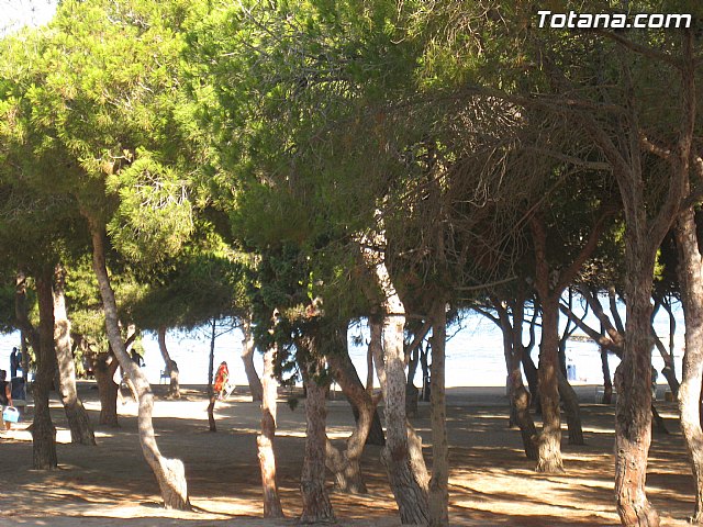 Cala del Pino. La Manga del Mar Menor. Julio y Agosto 2014 - 64