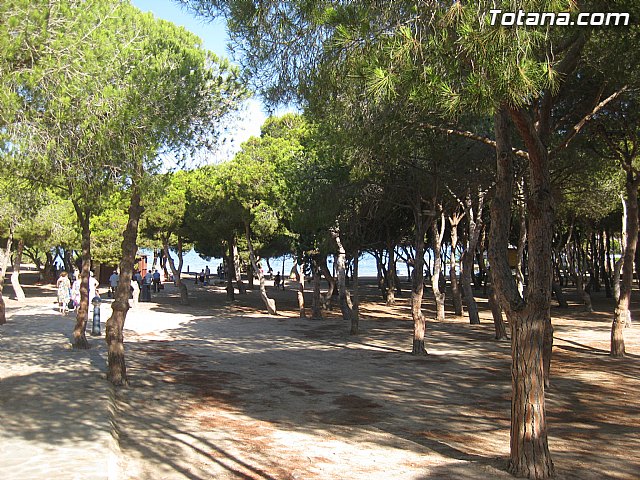 Cala del Pino. La Manga del Mar Menor. Julio y Agosto 2014 - 65