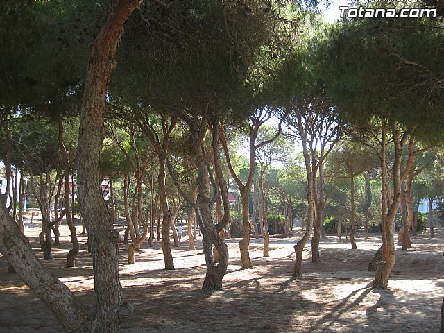 Cala del Pino. La Manga del Mar Menor. Julio y Agosto 2014 - 66