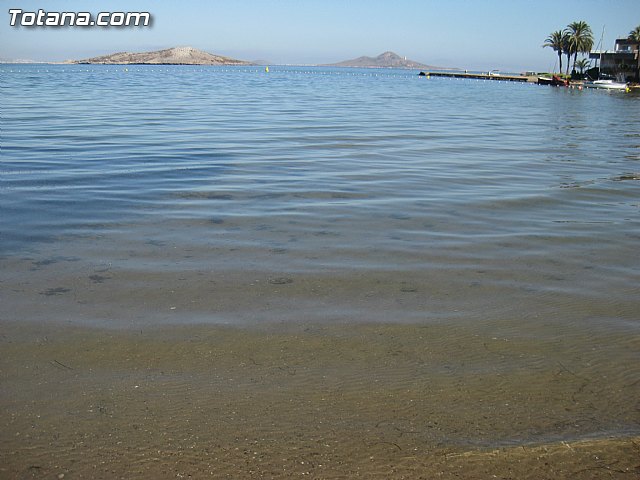 Cala del Pino. La Manga del Mar Menor. Julio y Agosto 2014 - 73