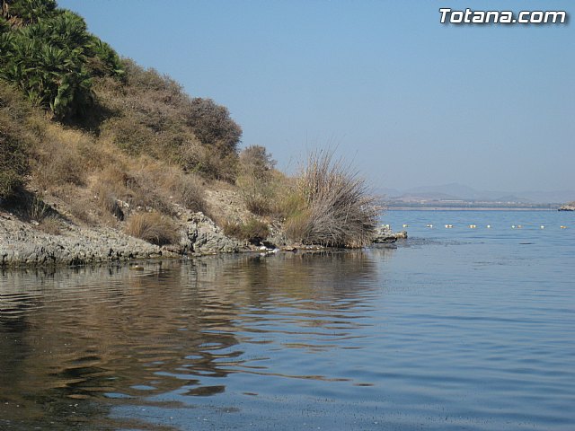 Cala del Pino. La Manga del Mar Menor. Julio y Agosto 2014 - 77