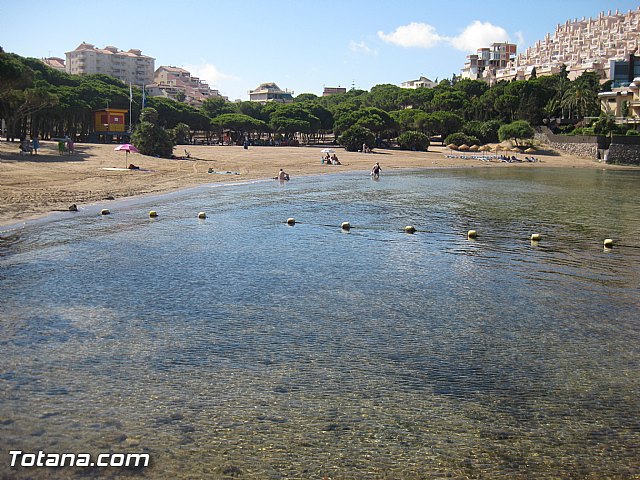 Cala del Pino. La Manga del Mar Menor. Julio y Agosto 2014 - 79