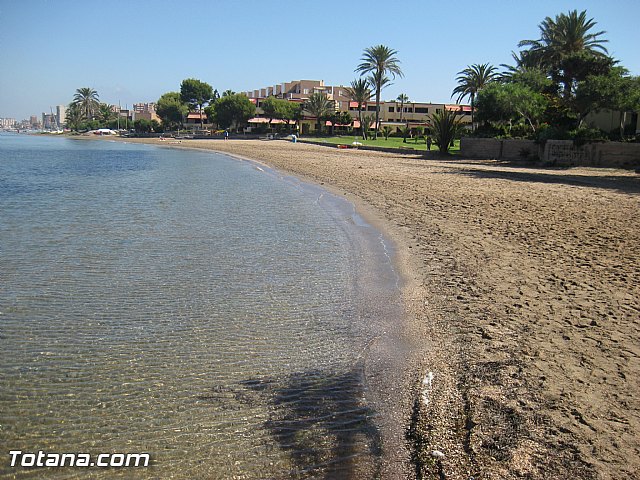 Cala del Pino. La Manga del Mar Menor. Julio y Agosto 2014 - 82