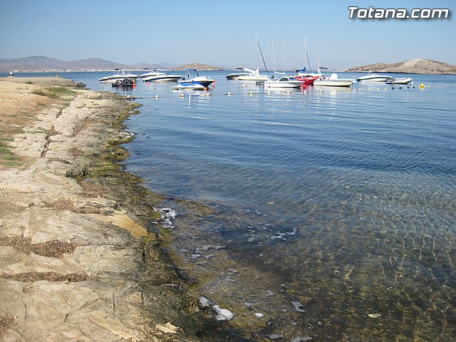 Cala del Pino. La Manga del Mar Menor. Julio y Agosto 2014 - 83