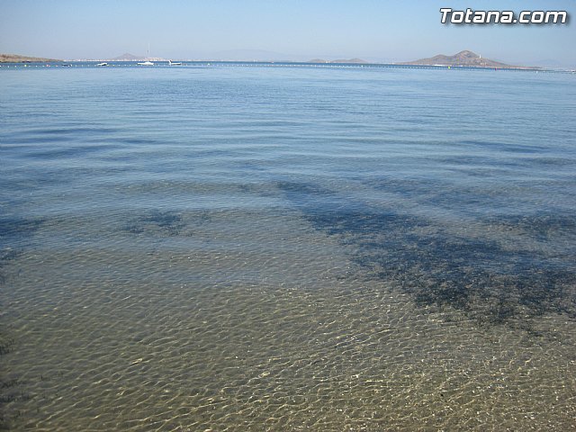 Cala del Pino. La Manga del Mar Menor. Julio y Agosto 2014 - 84