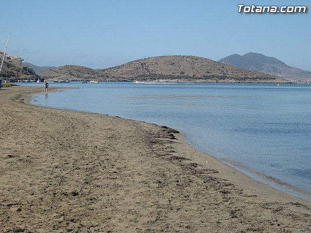Cala del Pino. La Manga del Mar Menor. Julio y Agosto 2014 - 87