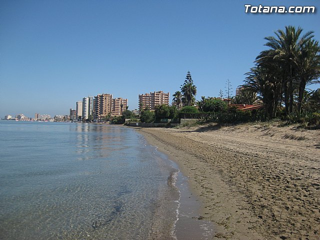 Cala del Pino. La Manga del Mar Menor. Julio y Agosto 2014 - 90