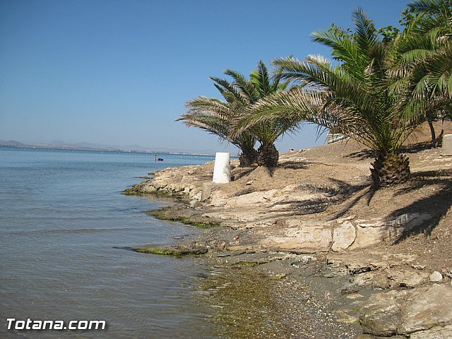 Cala del Pino. La Manga del Mar Menor. Julio y Agosto 2014 - 98