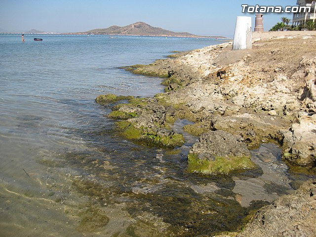 Cala del Pino. La Manga del Mar Menor. Julio y Agosto 2014 - 99