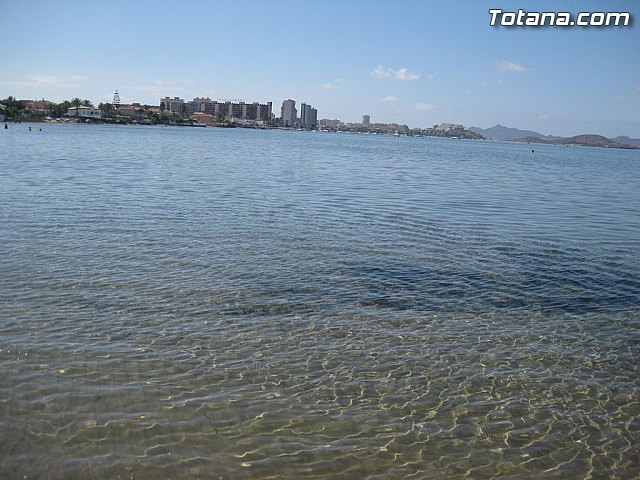 Cala del Pino. La Manga del Mar Menor. Julio y Agosto 2014 - 100