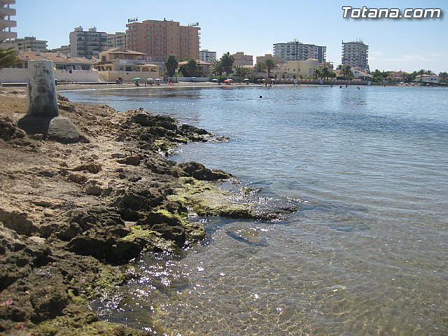 Cala del Pino. La Manga del Mar Menor. Julio y Agosto 2014 - 101
