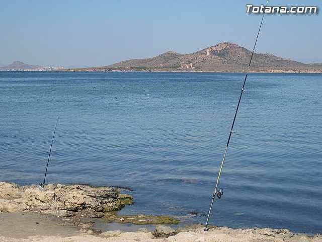 Cala del Pino. La Manga del Mar Menor. Julio y Agosto 2014 - 102
