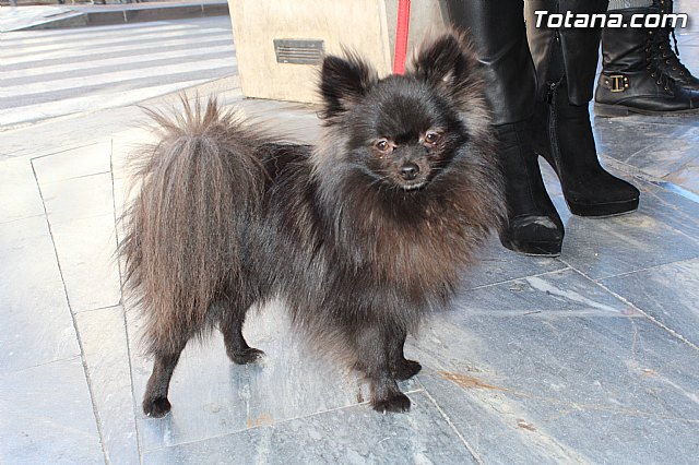 Calle Mara Garca Garca 