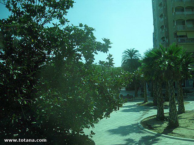 Viaje a Calpe (Alicante) - 2013 - 6