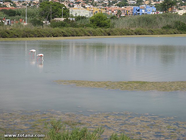 Viaje a Calpe (Alicante) - 2013 - 56
