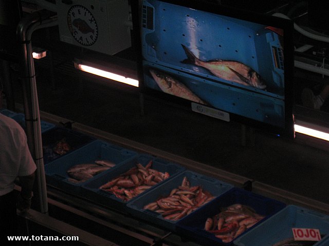 Viaje a Calpe (Alicante) - 2013 - 76