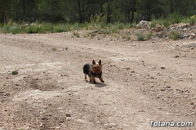 Peregrinacin de la Hdad. de Jess en el Calvario a Caravaca - 280