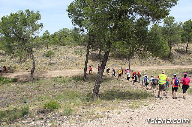 Peregrinacin de la Hdad. de Jess en el Calvario a Caravaca - 286